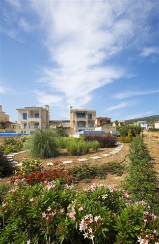 Amarosa Villa, Paphos