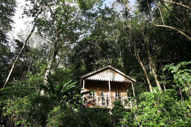 Jungle Bay, Dominica